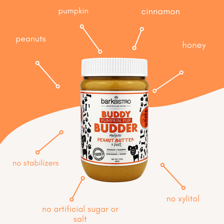 Pumpkin Pup Buddy Butter