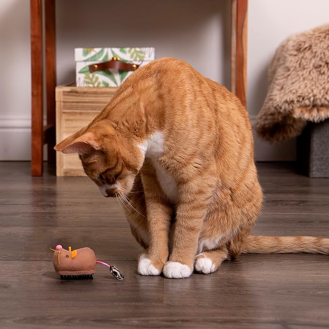 Motion cat toy sale