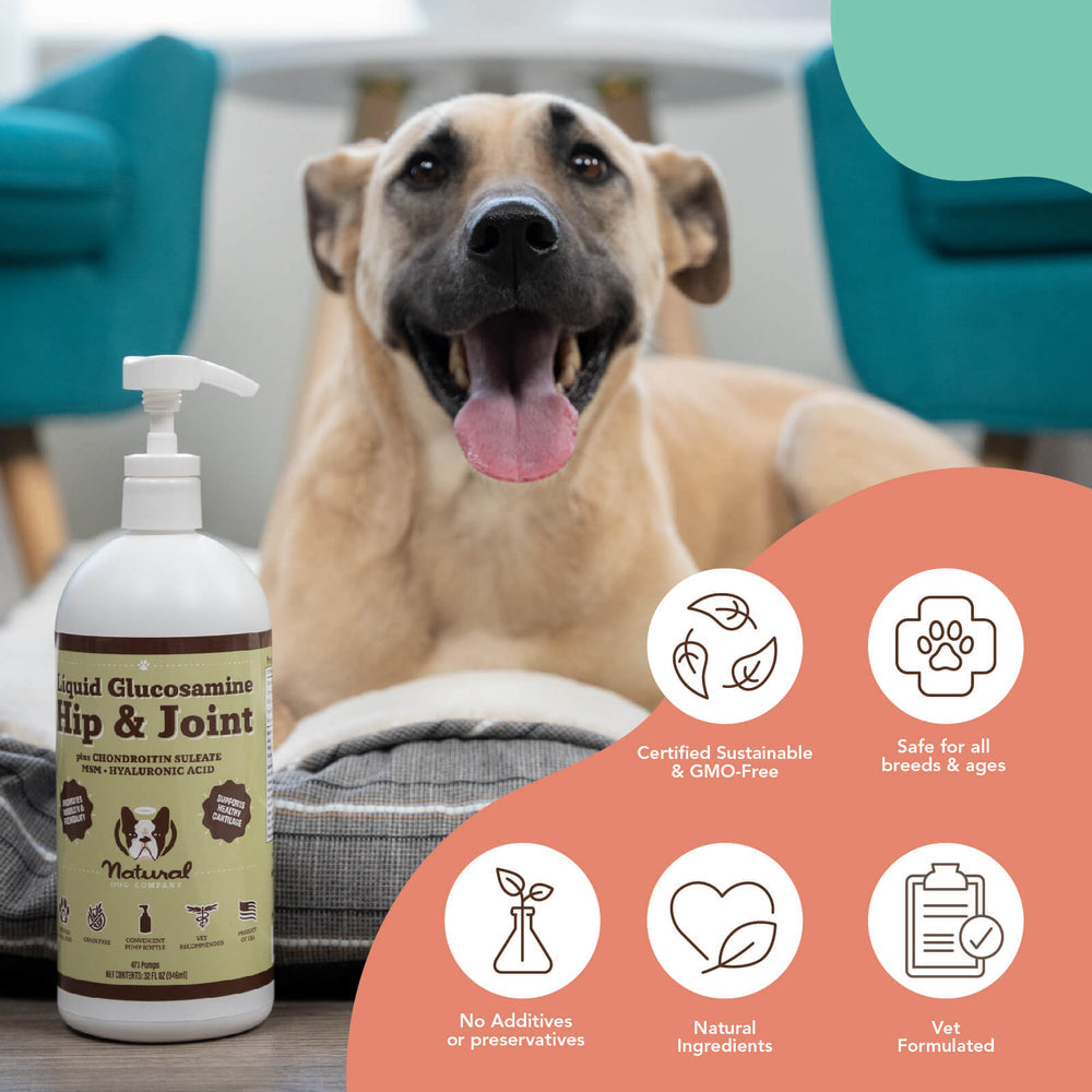 Dog skin soother best sale